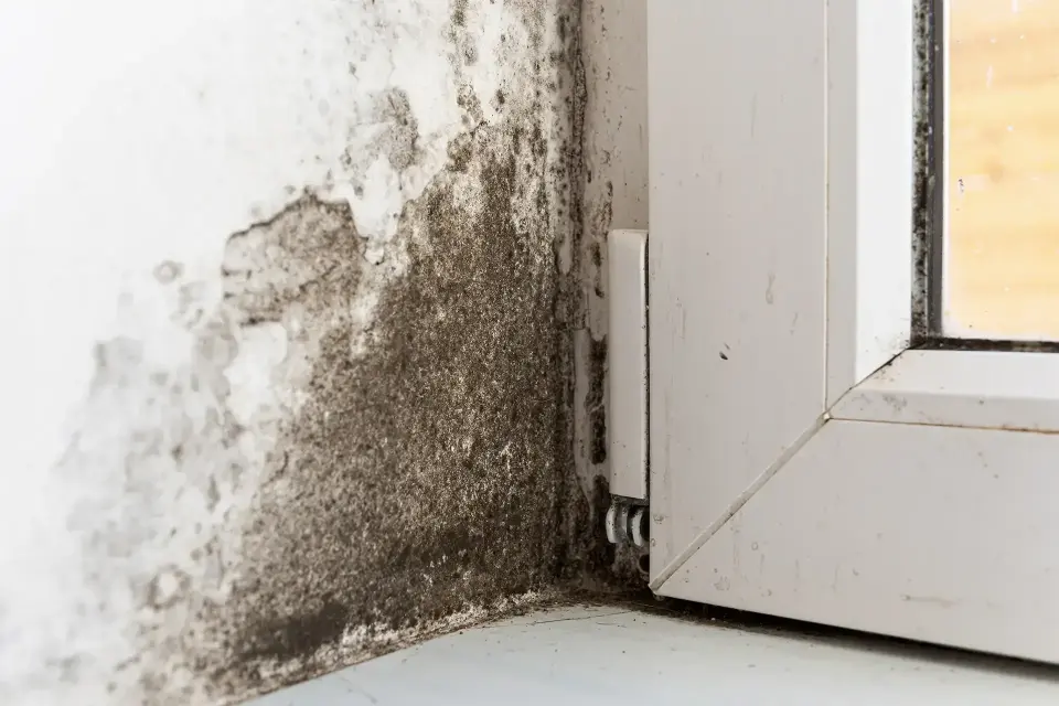 Restoring Comfort And Safety To Your Property — Loveland, CO